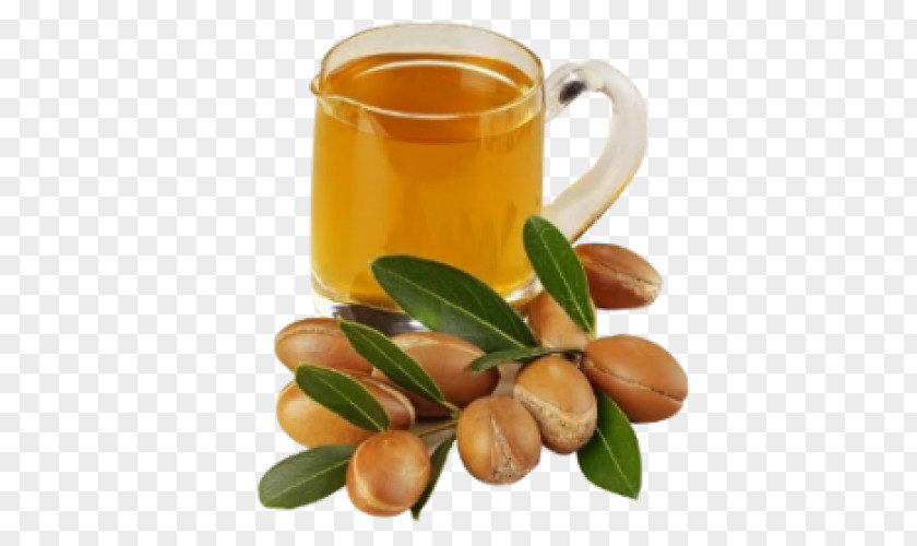 Argan Oil Moroccan Cuisine Essential PNG