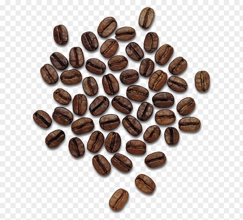 Coffee Beans Image Thailand Praline Hazelnut Cocoa Bean PNG