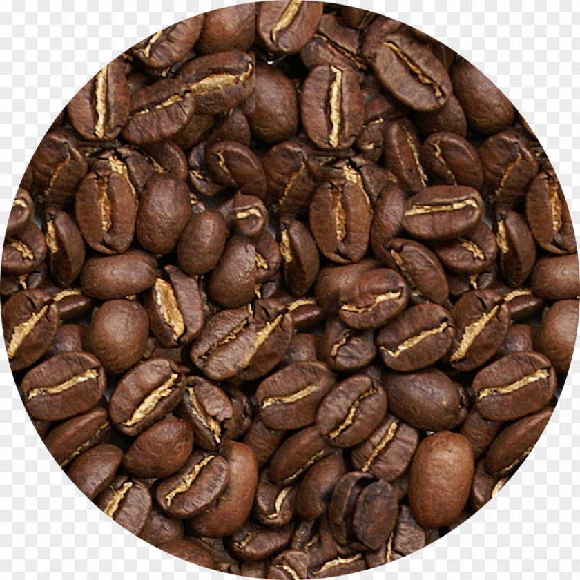Coffee Jamaican Blue Mountain Butihinda Bean Arabica PNG