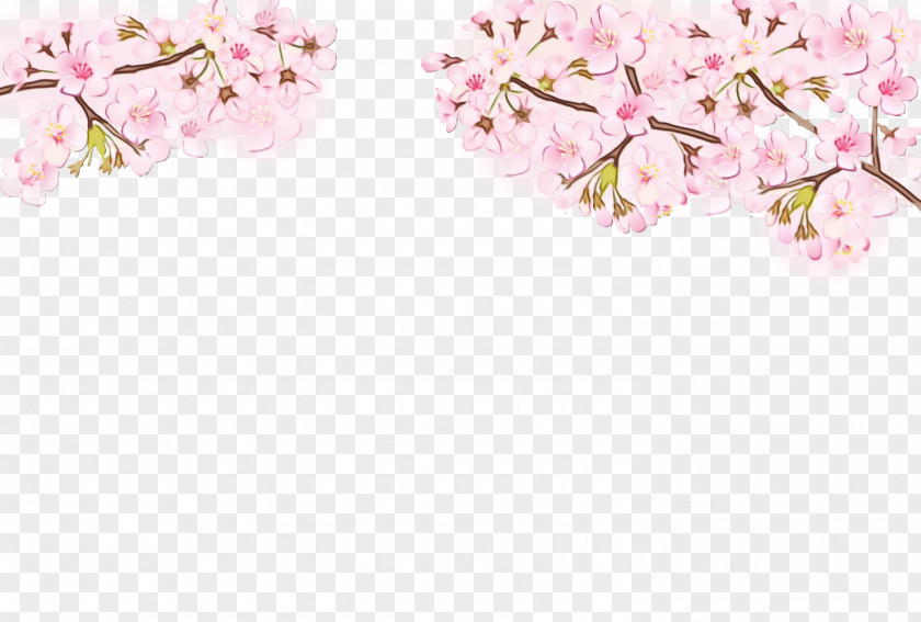 Cut Flowers Spring Floral PNG