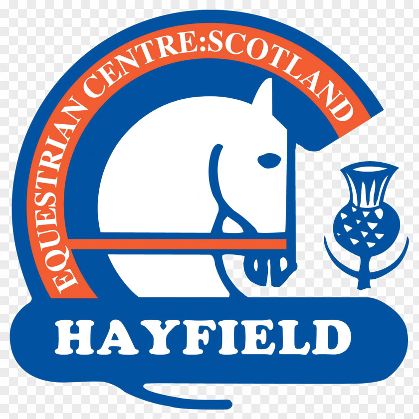Horse Hayfield Riding Equestrian Centre Hazlehead PNG