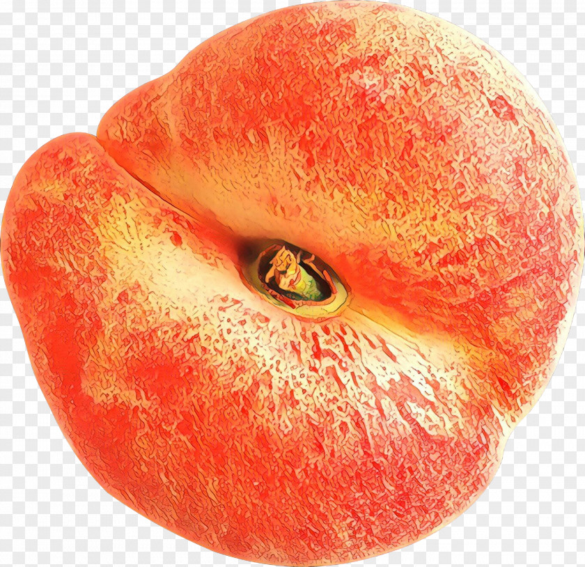 Orange PNG