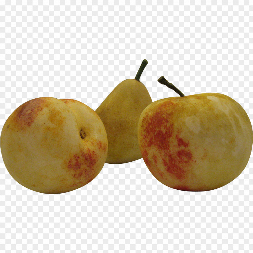 Apple Plum PNG