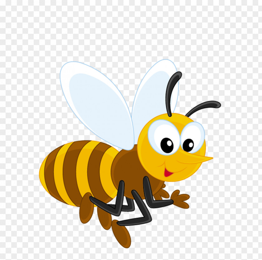 Bee Honey Insect Cartoon PNG