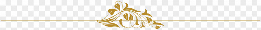 Design Close-up Line PNG