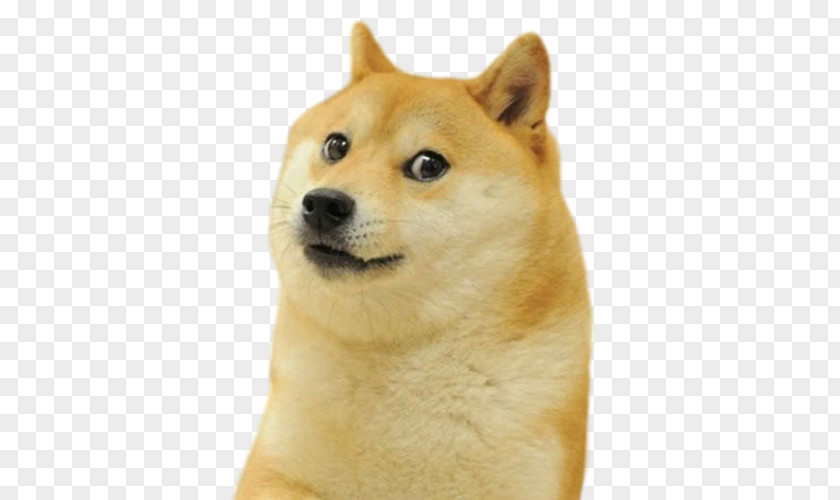 Ice Cream Dogecoin Doge Snake Dodge PNG