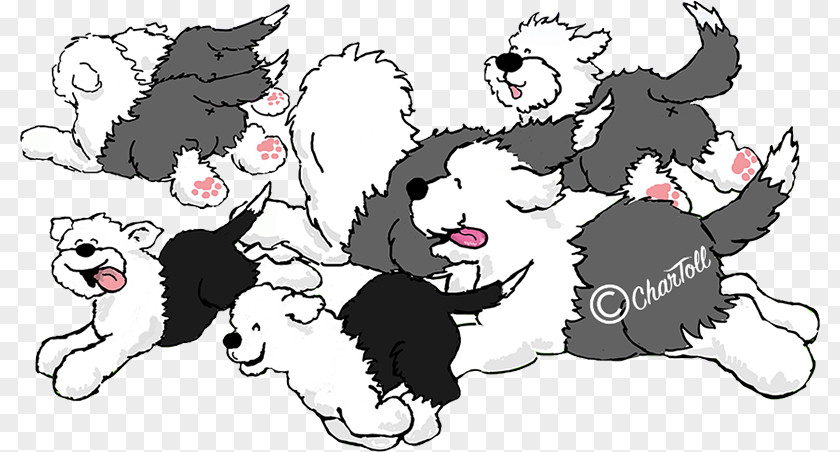 Old English Sheepdog Whiskers Shetland Kitten Breeder PNG