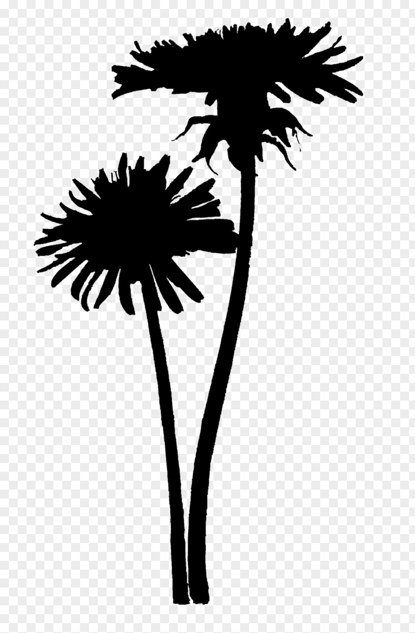 Asian Palmyra Palm Trees Line Dandelion Transvaal Daisy PNG