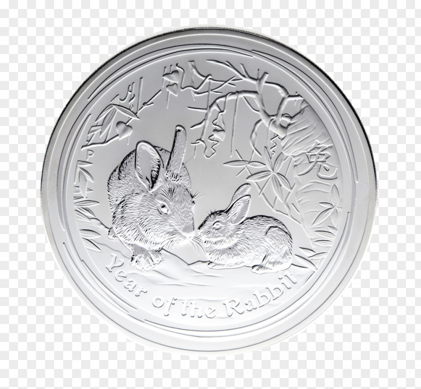 Coin Silver Nickel PNG