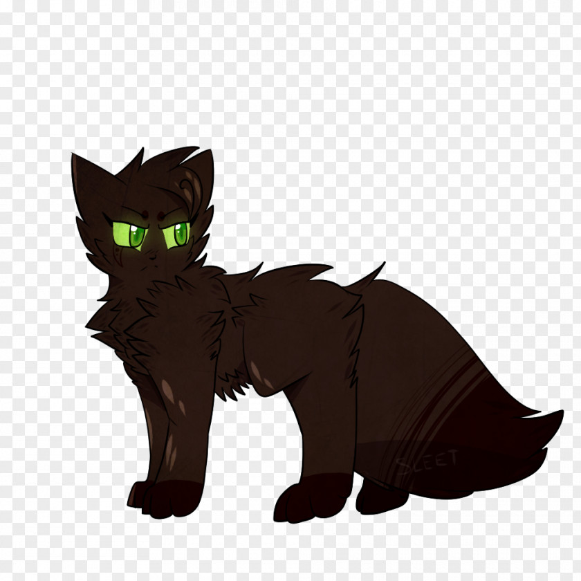 Kitten Whiskers Domestic Short-haired Cat Drawing PNG