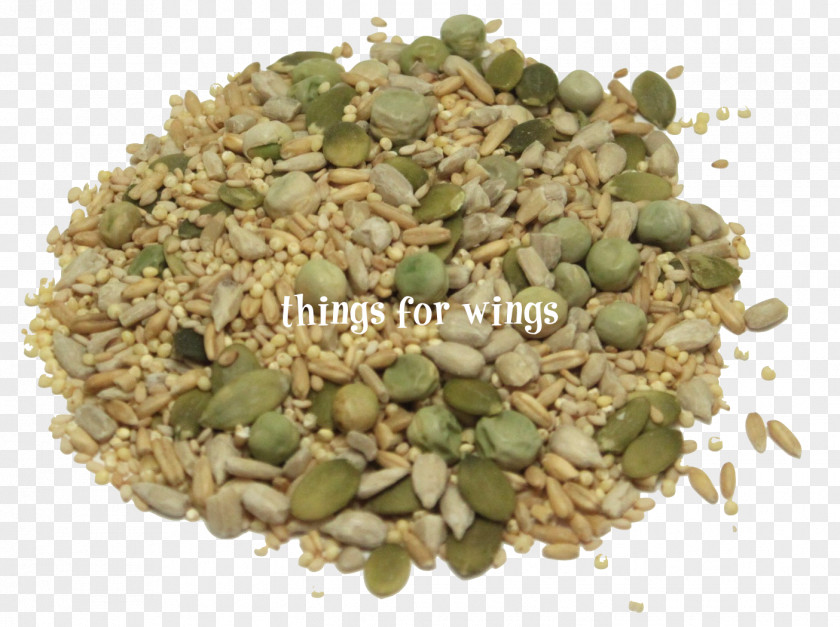 Sprout Organic Food Sprouting Herb Certification PNG