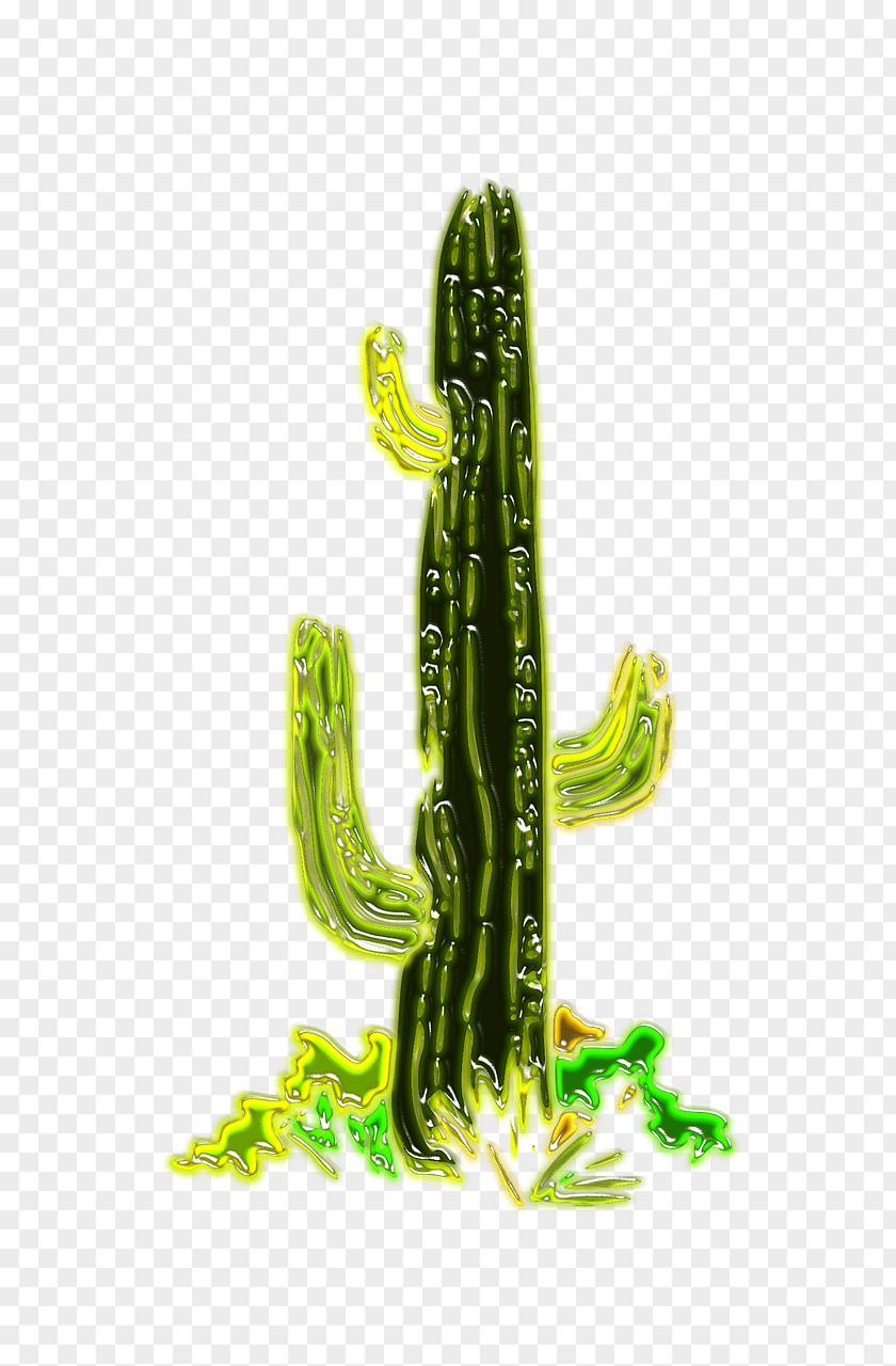 Desert Cactaceae California Barrel Cactus Landscape Plant PNG