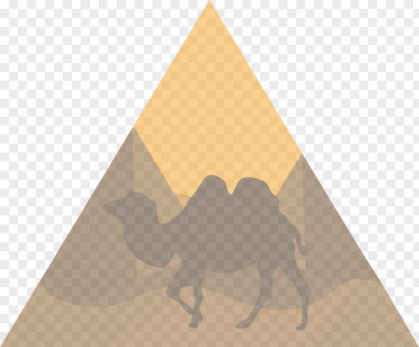 Dromedary Desert Triangle Pattern Camels PNG