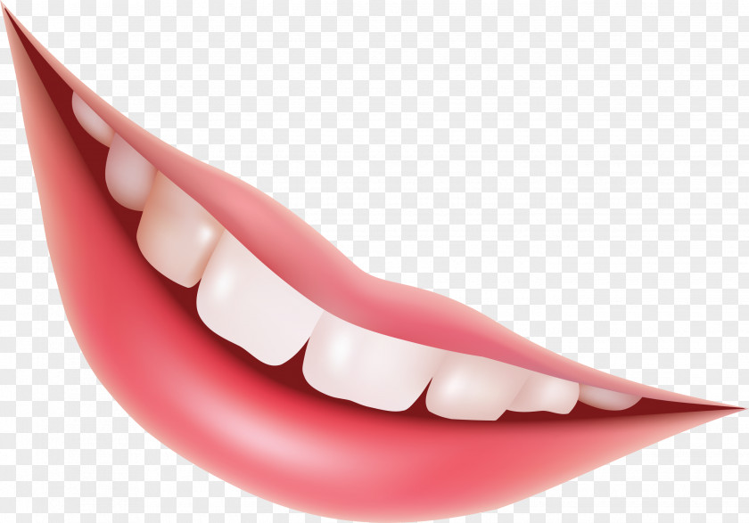 Teeth Image Mouth Euclidean Vector Lip Illustration PNG