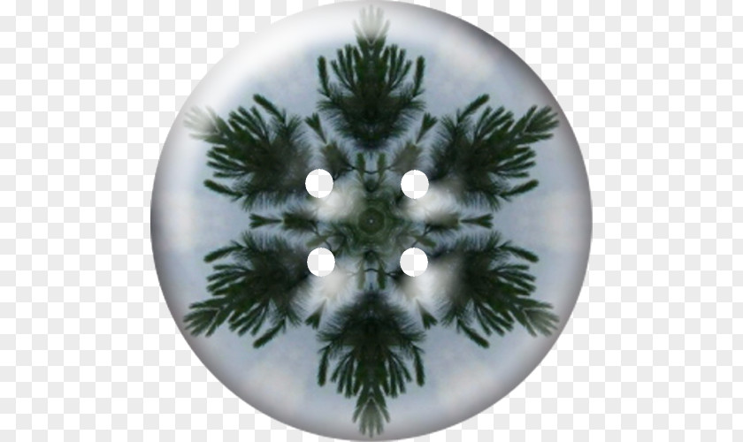 Christmas Tree Fir Ornament Spruce Day PNG