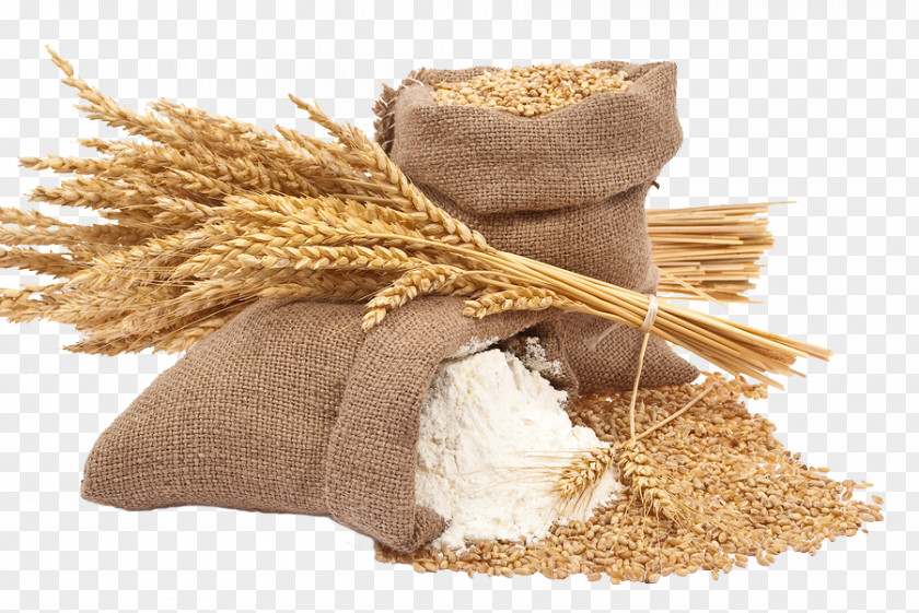 Flour Atta Whole Grain Wheat Common PNG