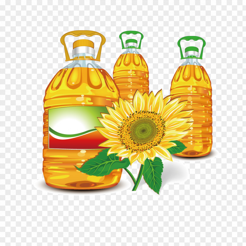 Sunflower Oil Olive Clip Art PNG