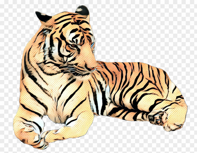 Tiger Whiskers Big Cat Terrestrial Animal PNG
