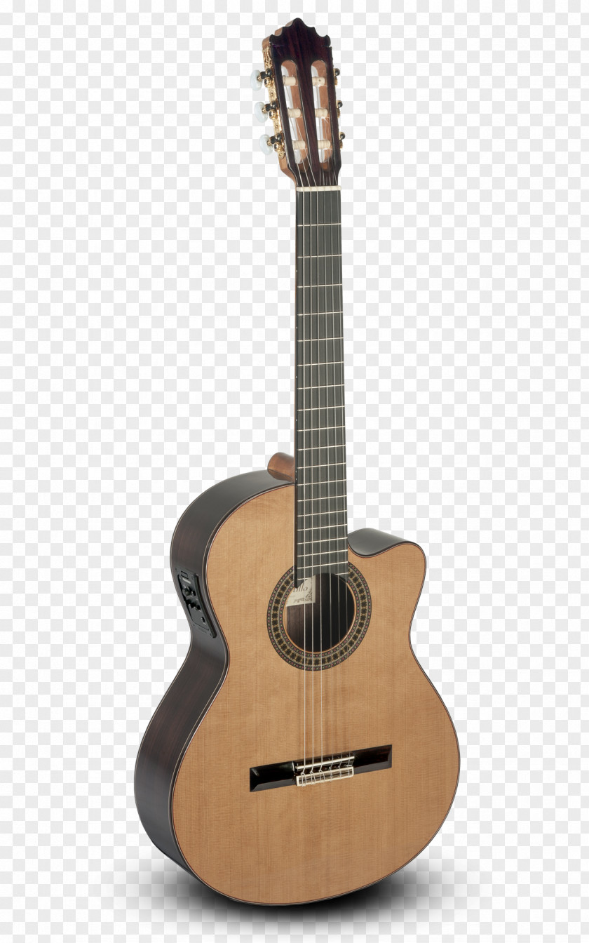 Acoustic Guitar Classical Steel-string Musical Instruments PNG