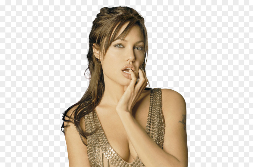 Angelina Jolie Lara Croft: Tomb Raider Art Museum Actor PNG