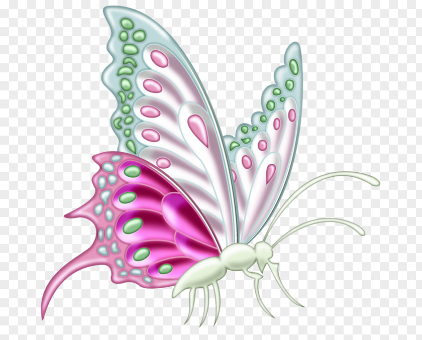 Butterfly Monarch Art Clip PNG