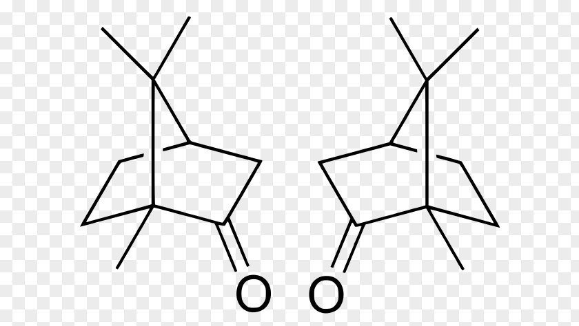 Camphor Tree Bornane-2,3-dione Borneol Terpene PNG