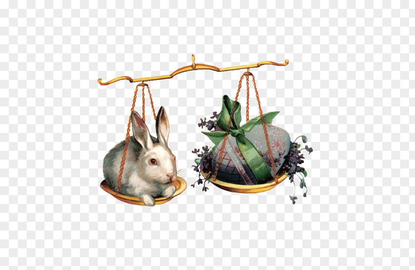 Cute Little Bunny Easter Leporids Rabbit Egg PNG