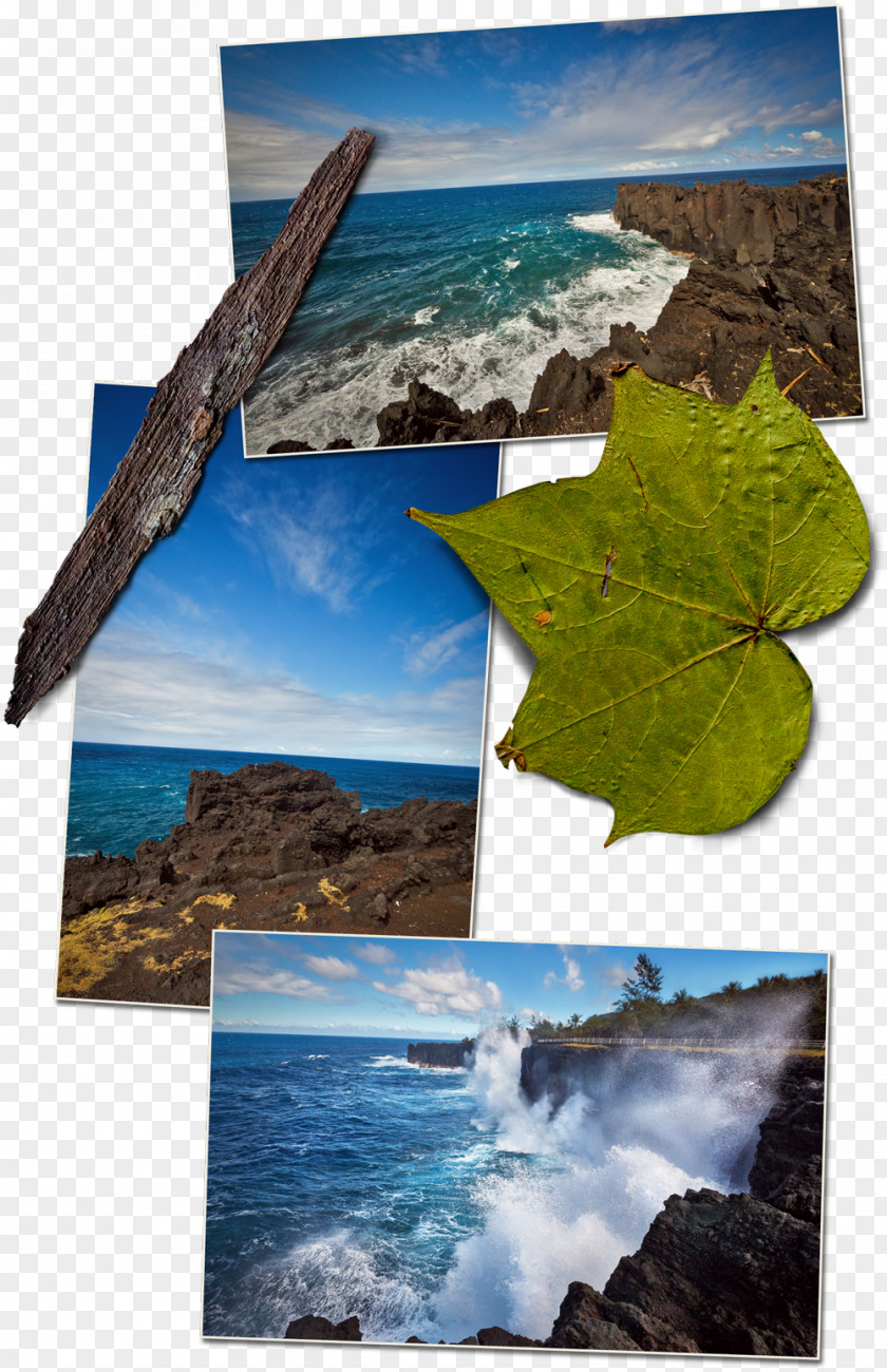 Energy Nature Ecosystem Desktop Wallpaper Collage PNG