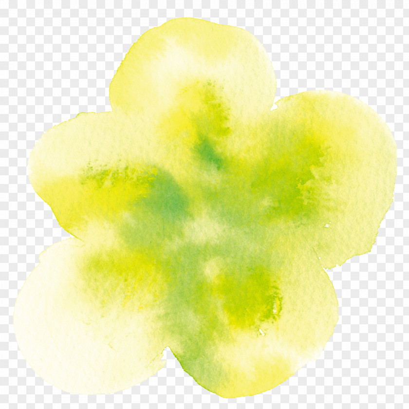 Goose Ink Stained Yellow Flowers Google Images Computer File PNG