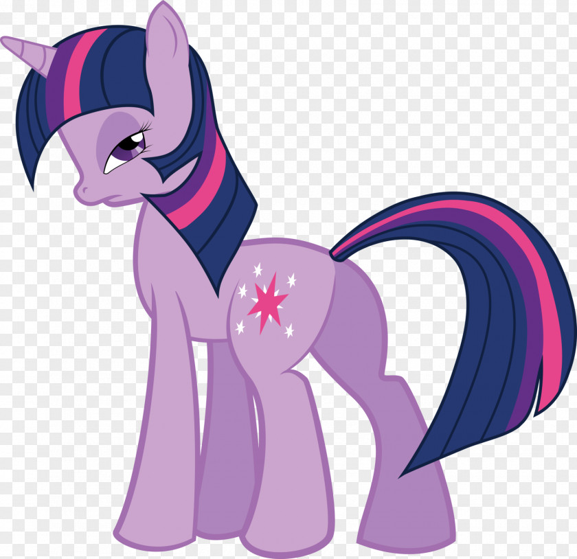 Horse Pony Cat Clip Art PNG