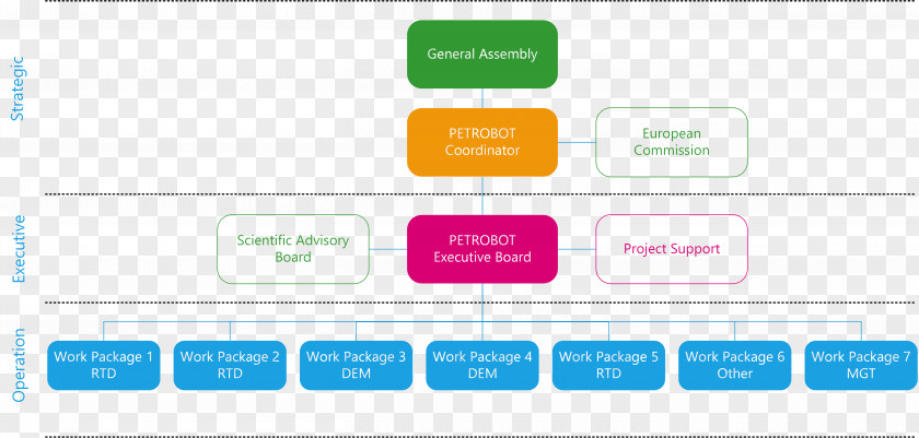 Management Structure Logo Online Advertising Web Page PNG