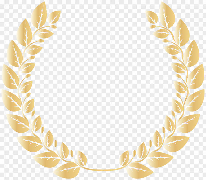 Necklace Feather PNG