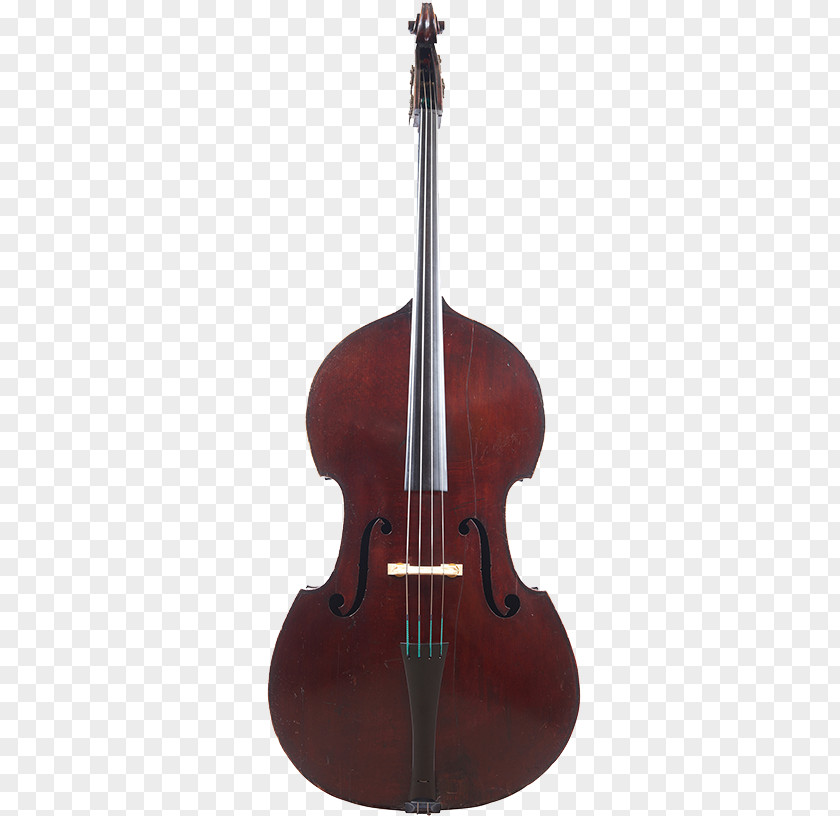 Bass Guitar Violin Double Viola Violone PNG