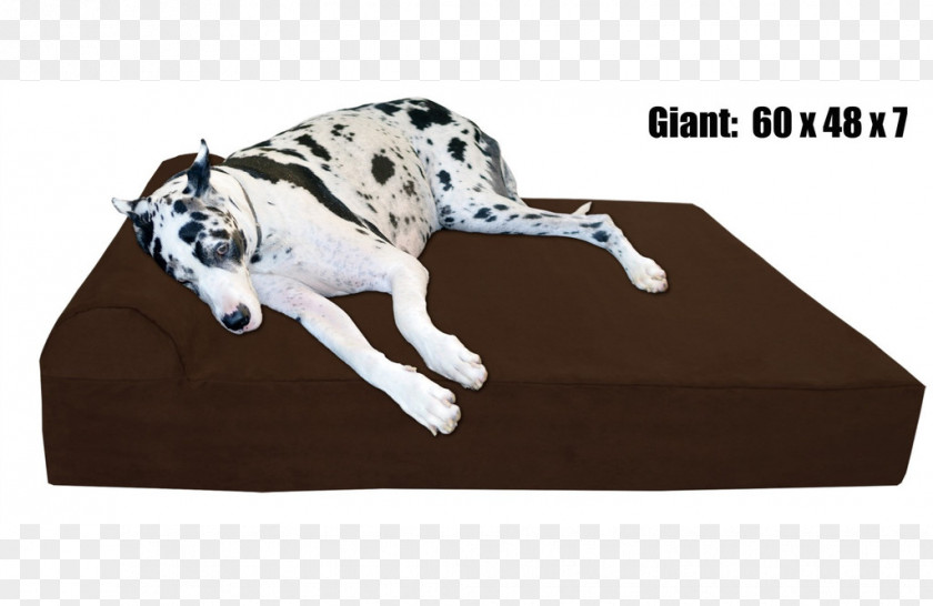 Orthopedic Pillow Great Dane Bed Pet Big Barker Dog Breed PNG