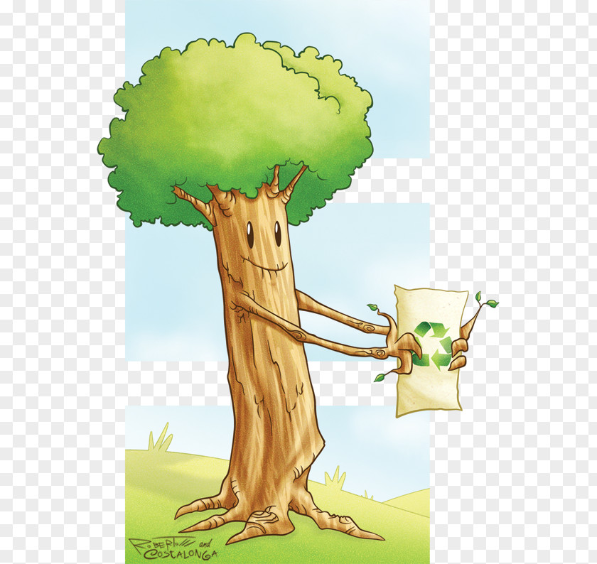Tree /m/083vt Ecosystem Illustration Wood PNG