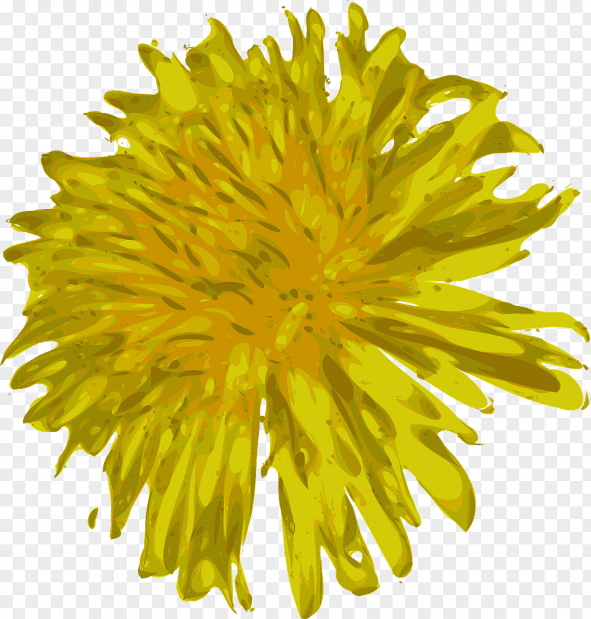 Dandelion Clip Art PNG