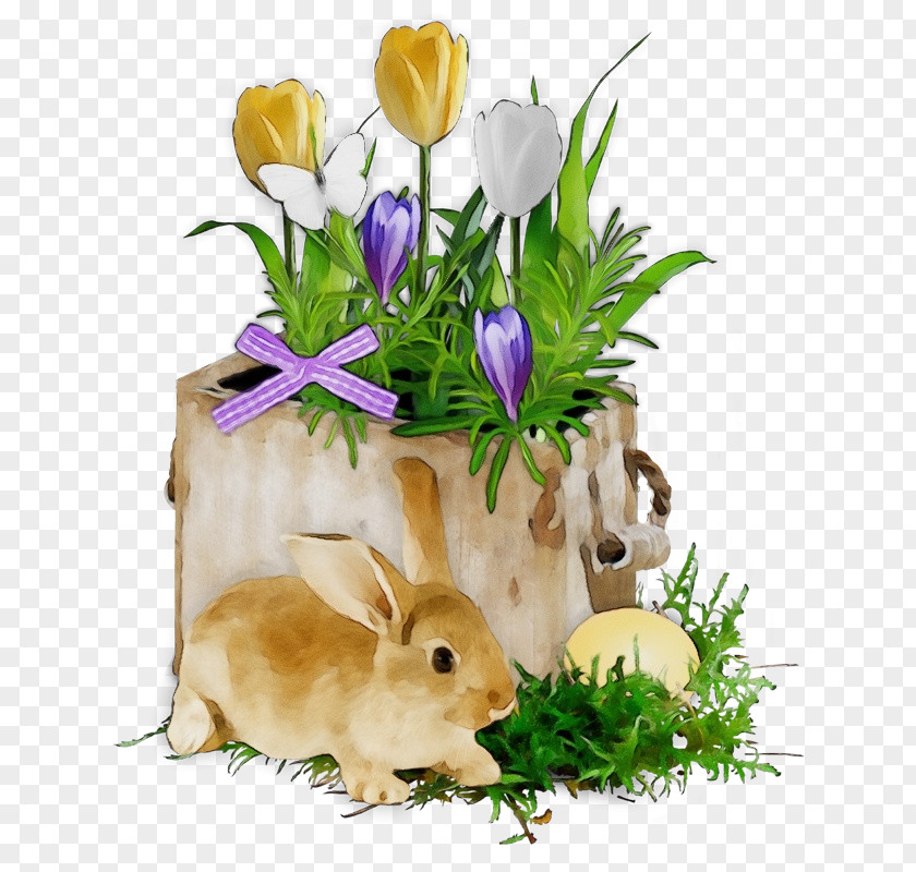 Easter Bunny Domestic Rabbit PNG