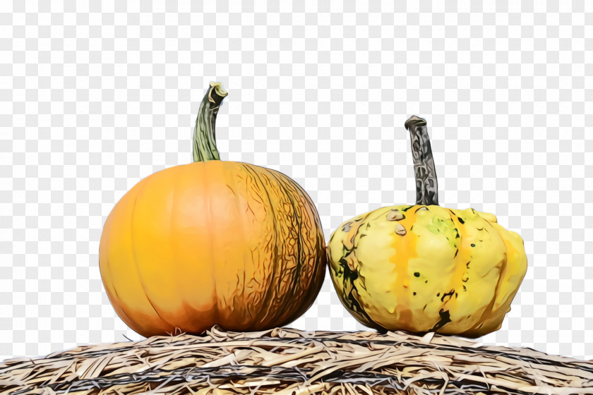 Food Cucurbita Pumpkin PNG