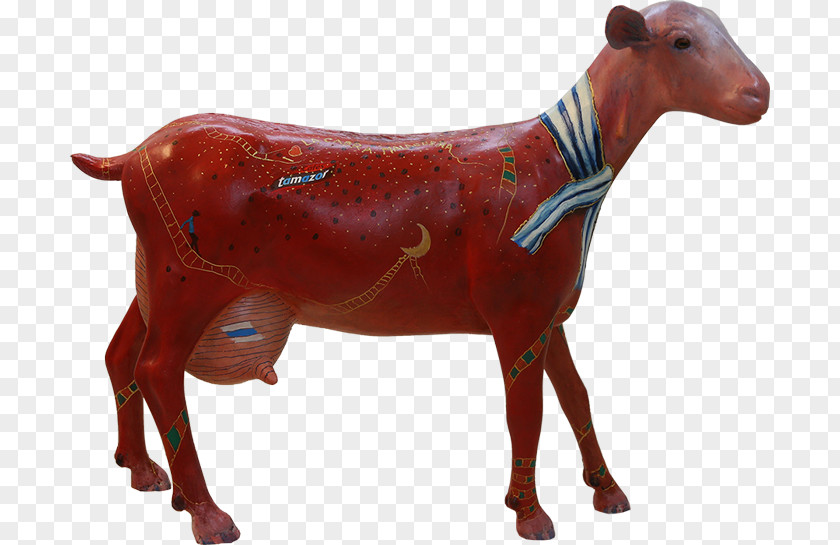 Goat Cabra Malagueña Cattle Ox Animal PNG