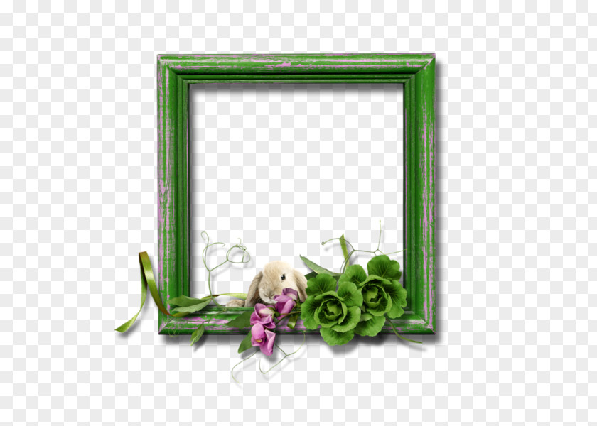 Green Floral Border Flowers Picture Frame PNG