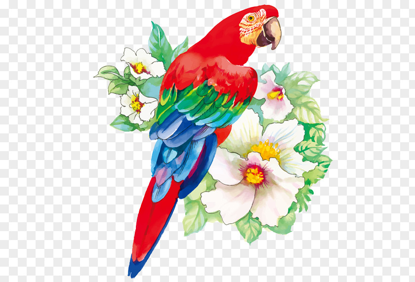 Parrot Bird Flower Drawing Watercolor Painting PNG