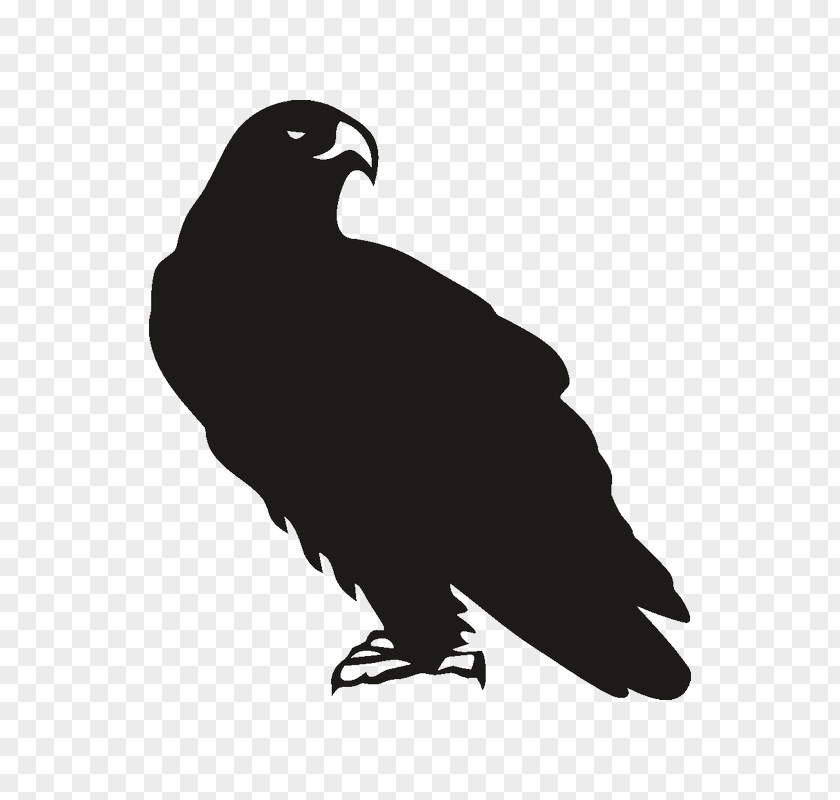 Eagle Decal Bird Sticker Size? PNG