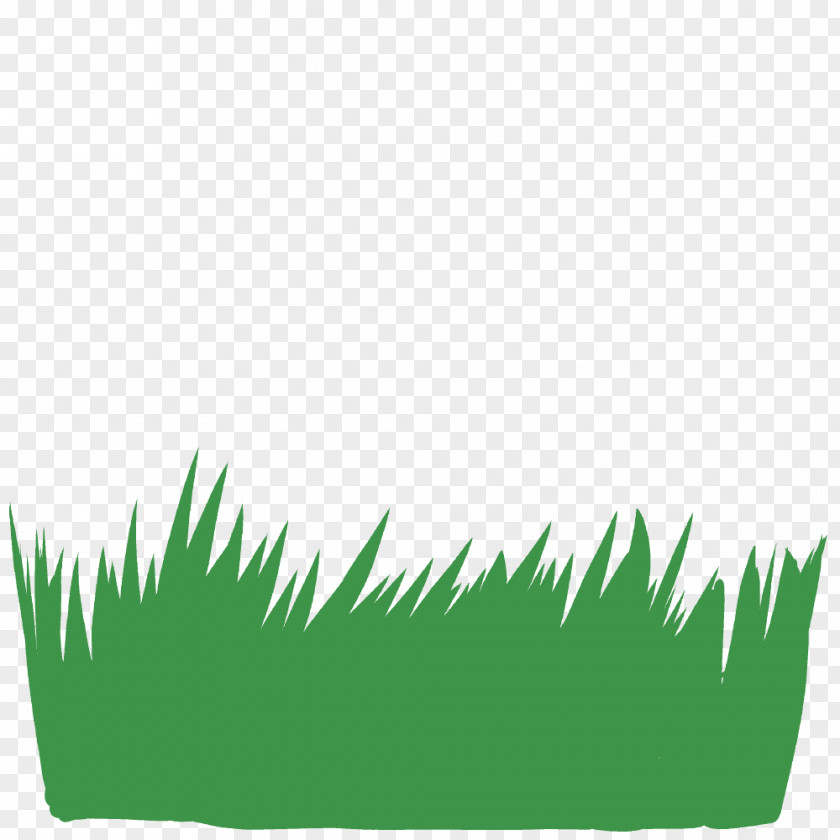 Grass Illustration Graphics Silhouette Text PNG