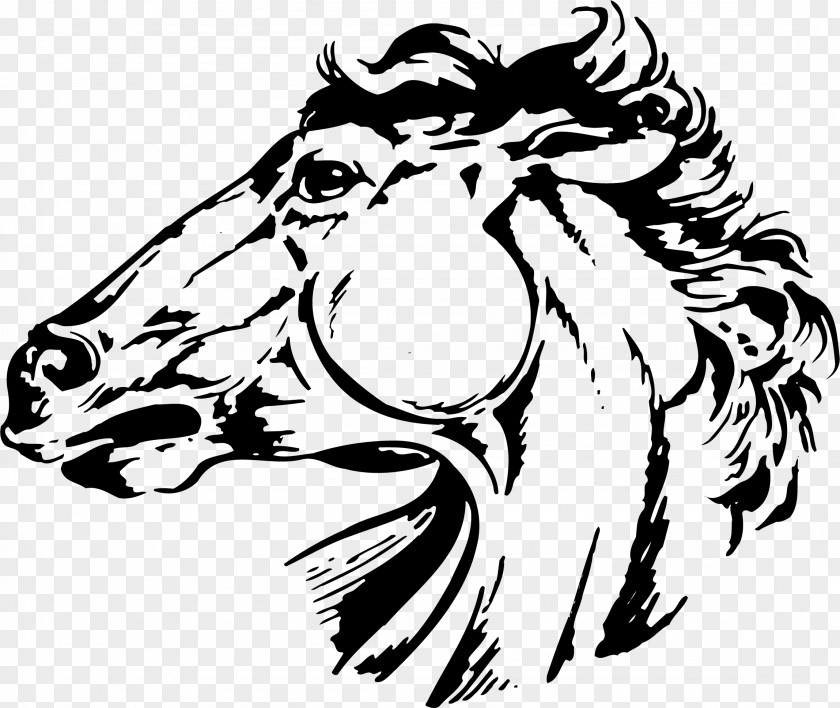 Horse Head Tiger Ayden Clip Art PNG