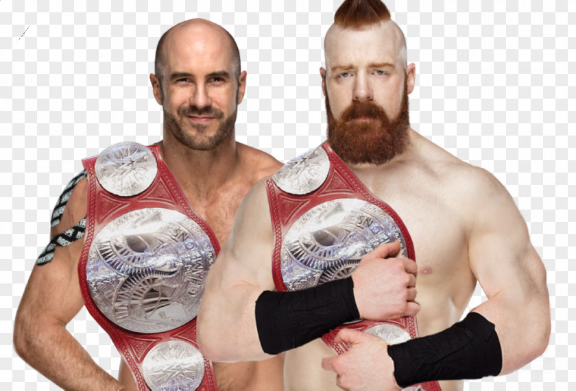 Sheamus Cesaro And WrestleMania 34 Professional Wrestler PNG