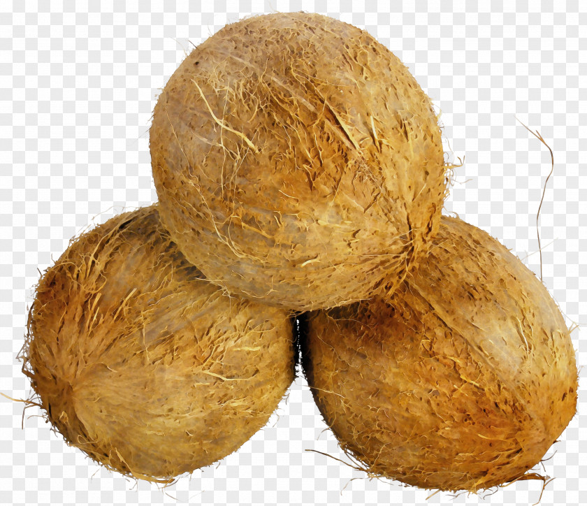 Tuber Food Coconut PNG
