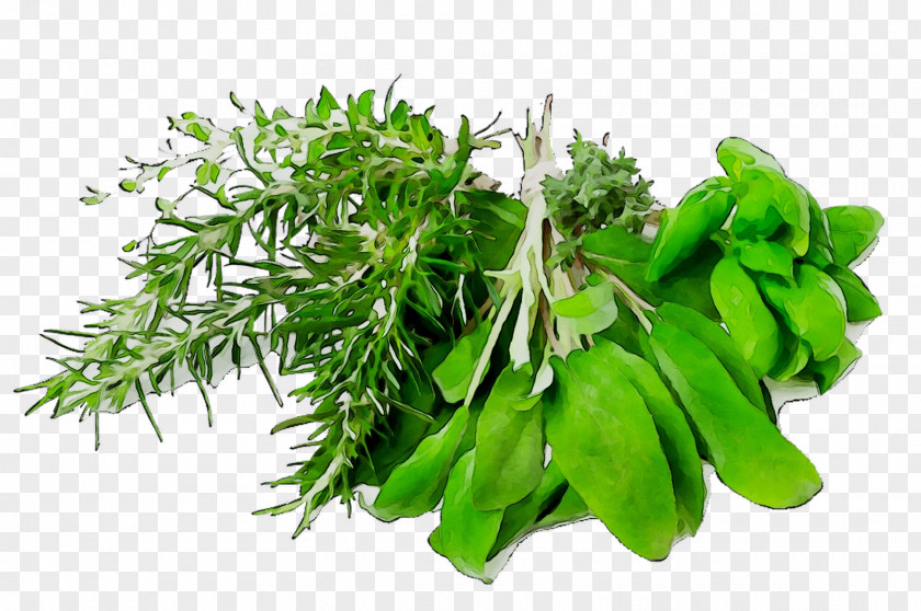 Food Herb Dinner Health Meal PNG
