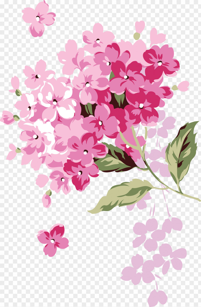 Lilac Flower Wallpaper PNG
