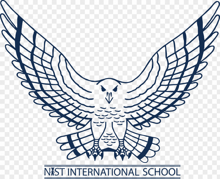 School Logo NIST International Atlanta Falcons Sport PNG