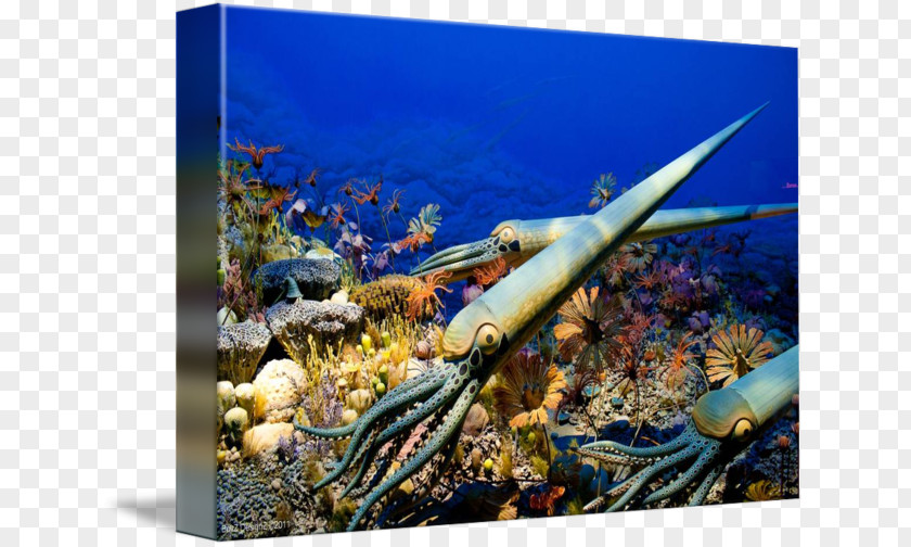 Sea Prehistory Coral Reef Prehistoric Art Marine Biology PNG